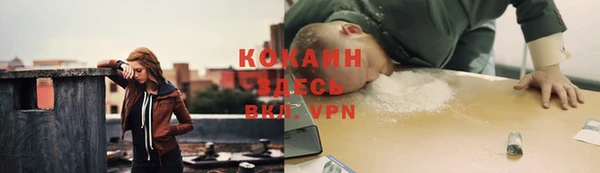 твердый Магадан