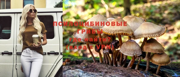 соль ск Алексин