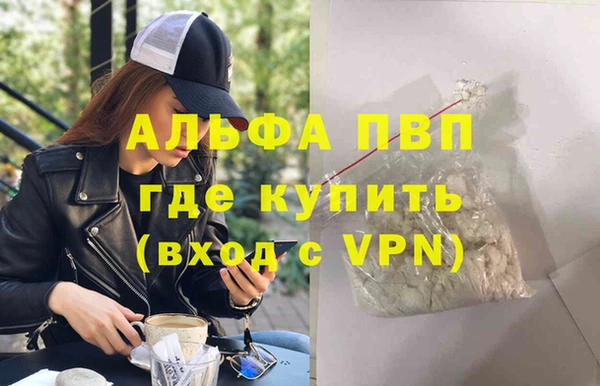 дживик Майский