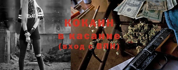 соль ск Алексин