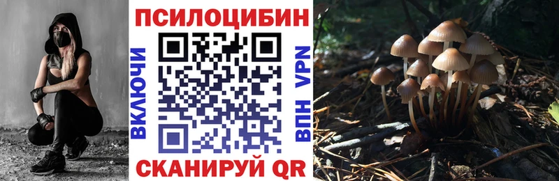 Галлюциногенные грибы мицелий  мега как зайти  Старый Оскол 